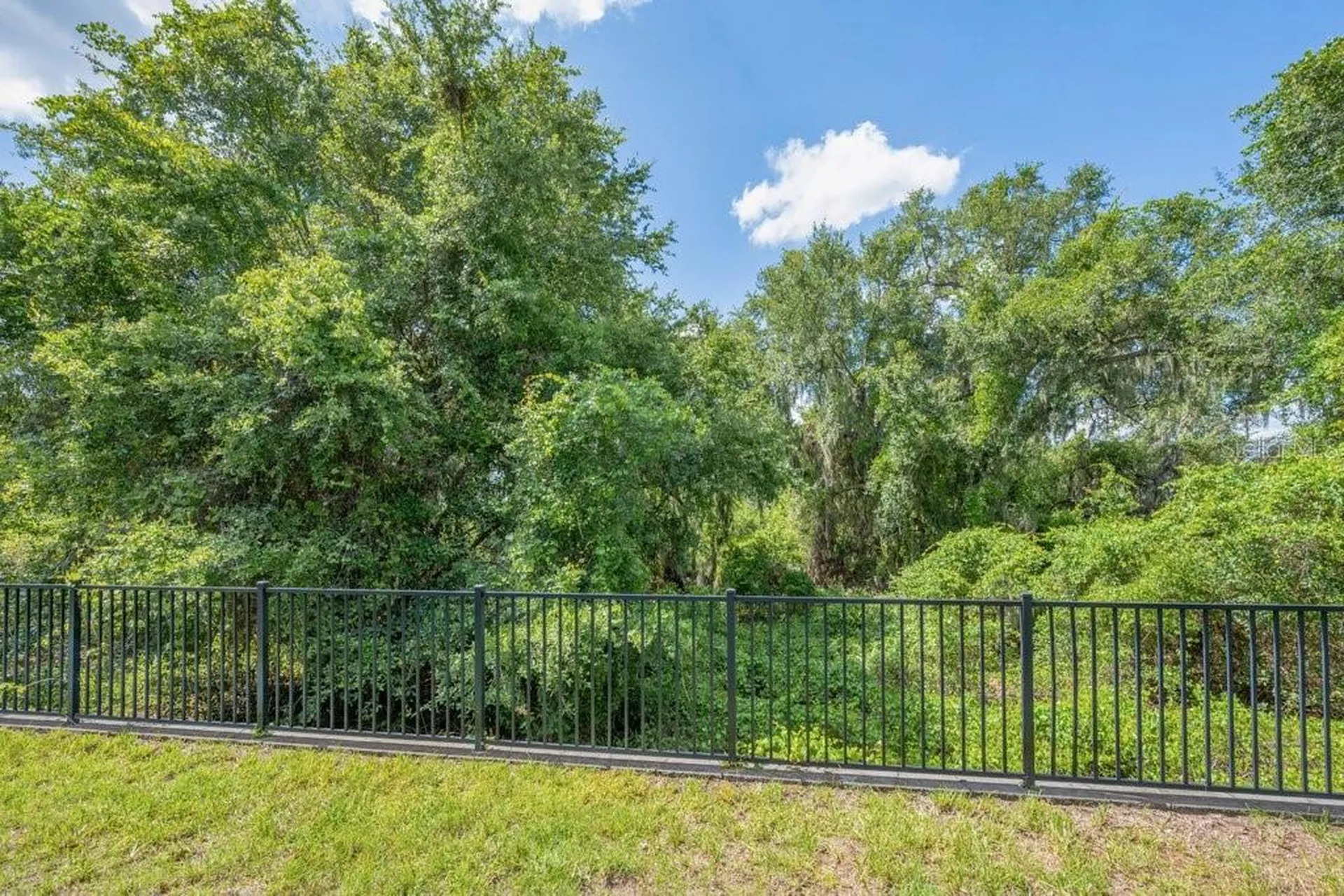 11505 Cambium Crown Drive Riverview FL 33569