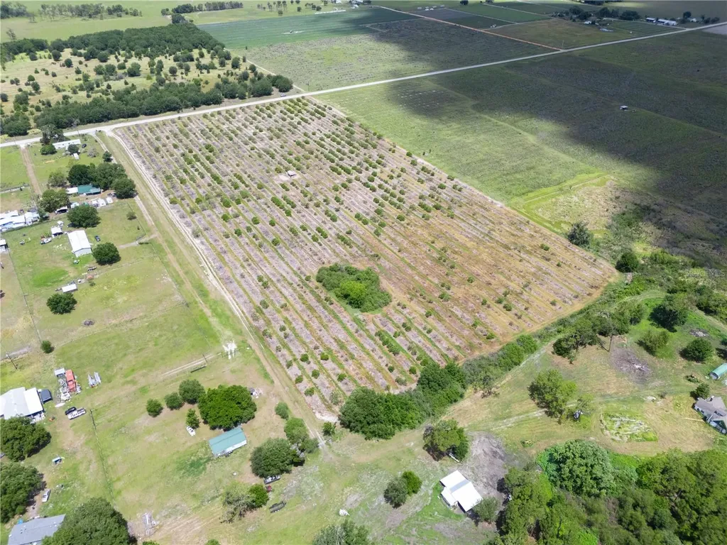 Lake Buffum Road W Fort Meade FL 33841