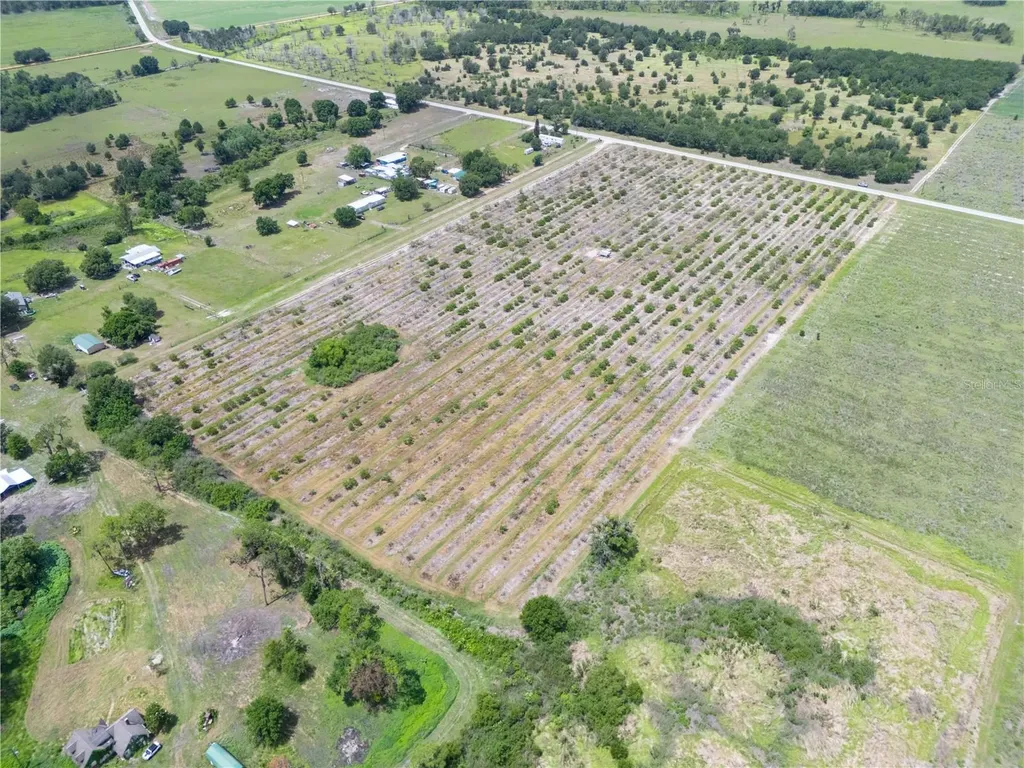 Lake Buffum Road W Fort Meade FL 33841