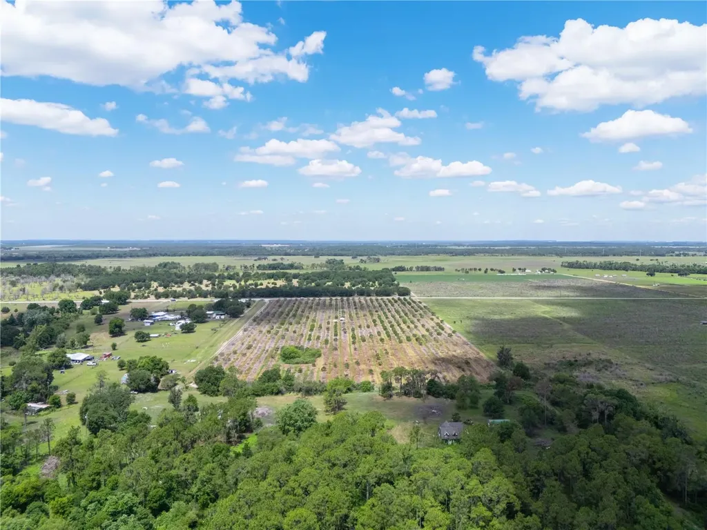 Lake Buffum Road W Fort Meade FL 33841
