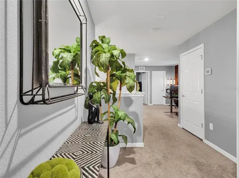 5019 Blue Latan Lane Tampa FL 33610