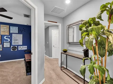 5019 Blue Latan Lane Tampa FL 33610