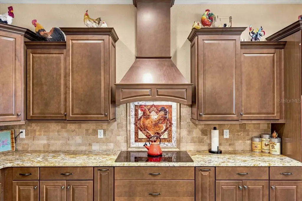 408 Hawk Talon Drive Lithia FL 33547
