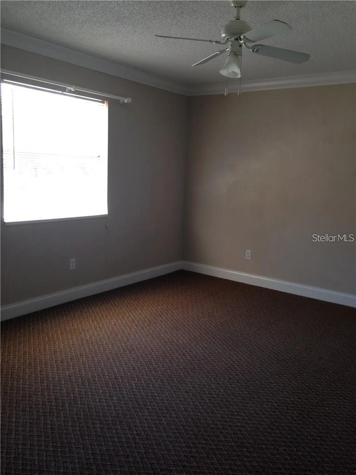 7640 Desoto Court Tampa FL 33615