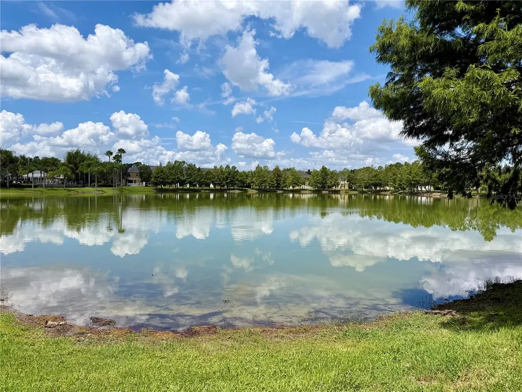 14125 Oasis Cove Boulevard Windermere FL 34786