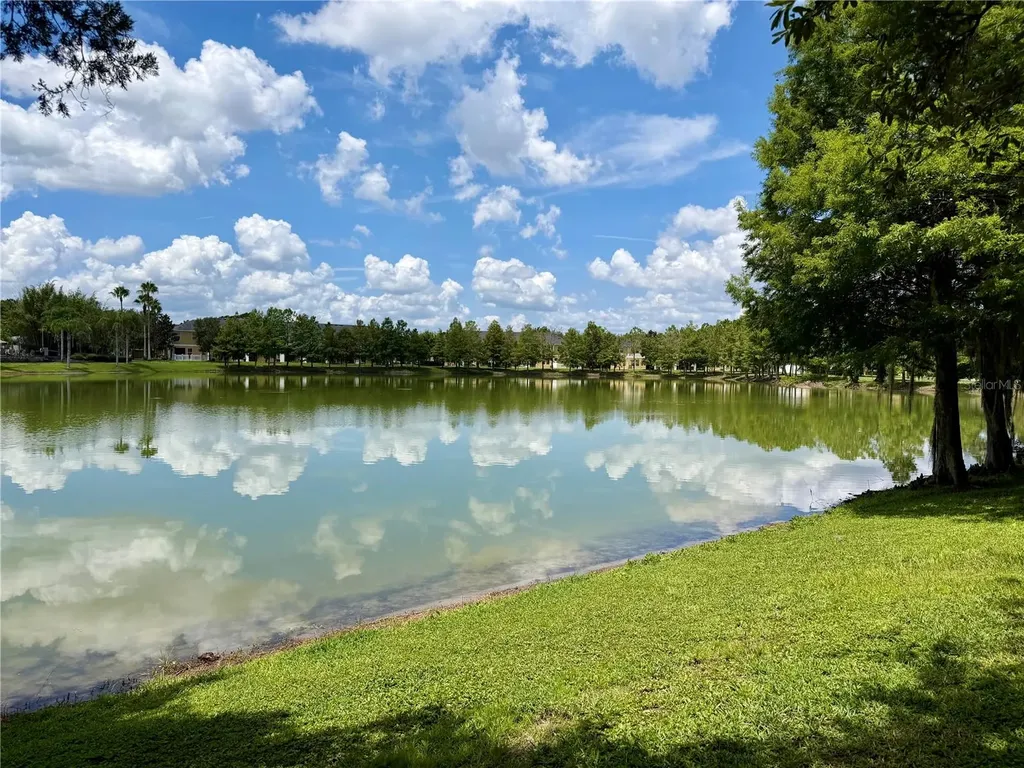 14125 Oasis Cove Boulevard Windermere FL 34786