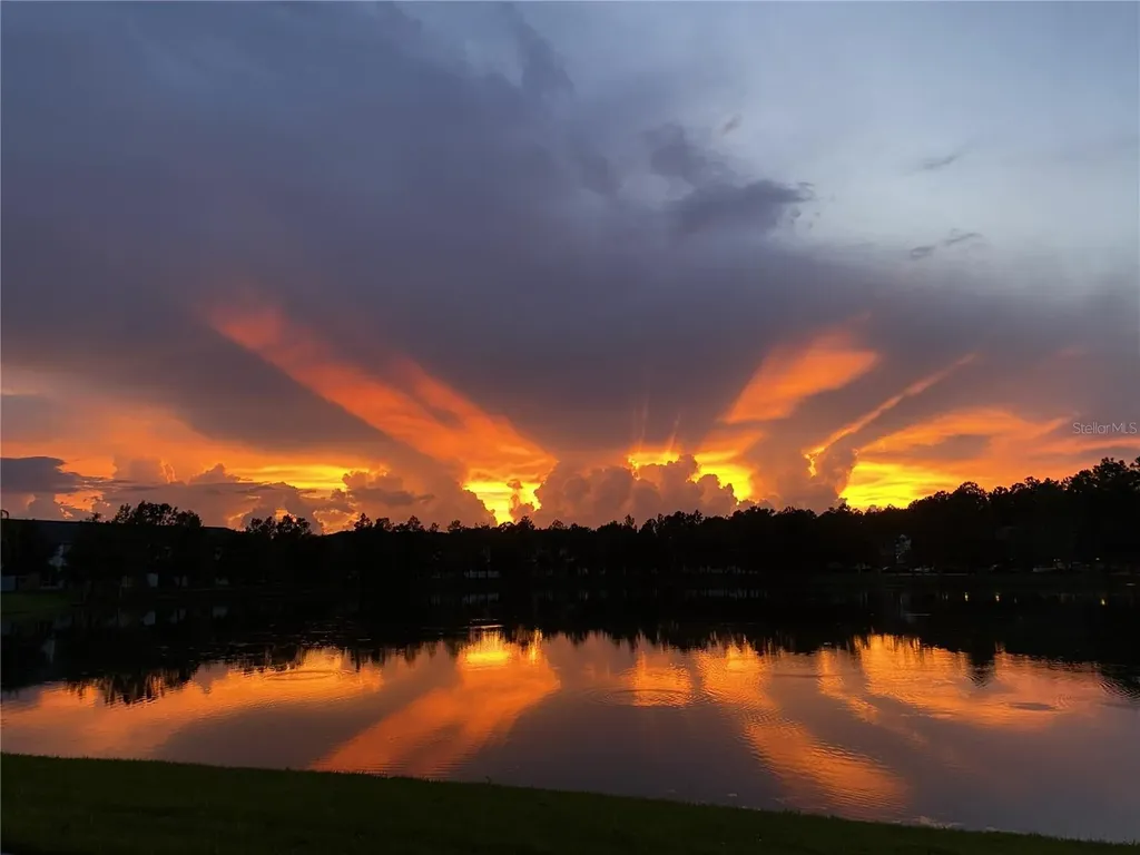 14125 Oasis Cove Boulevard Windermere FL 34786