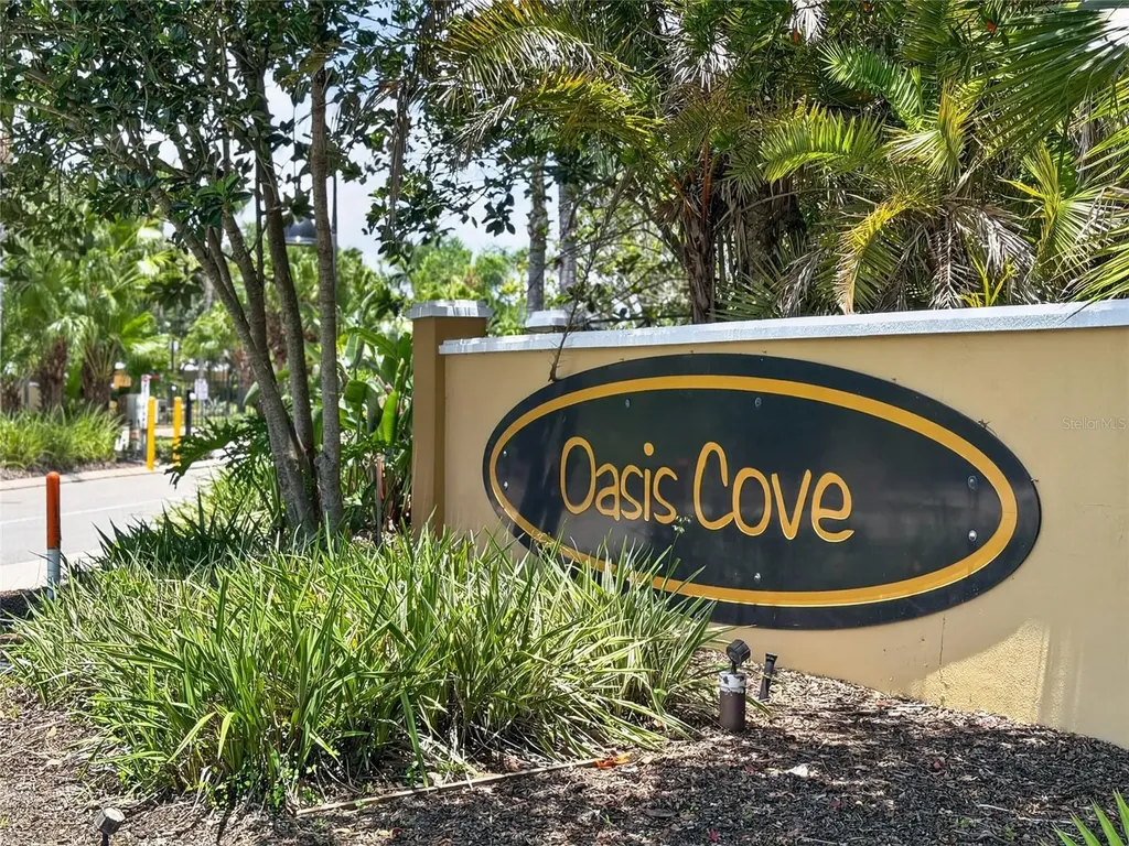 14125 Oasis Cove Boulevard Windermere FL 34786