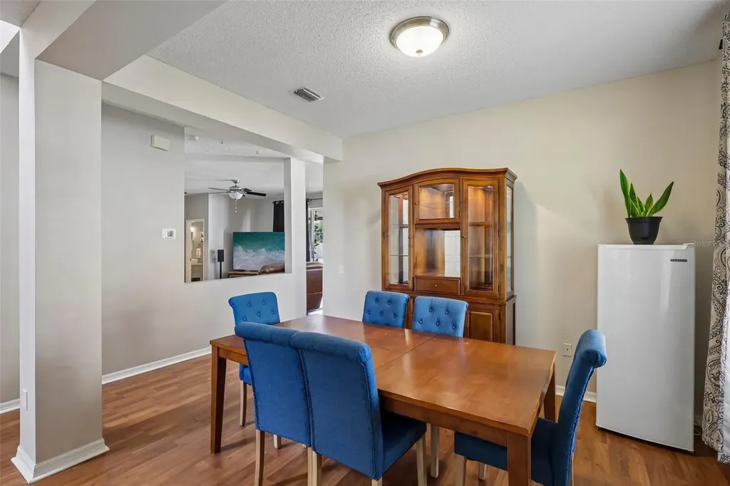 205 Rosana Drive Brandon FL 33511
