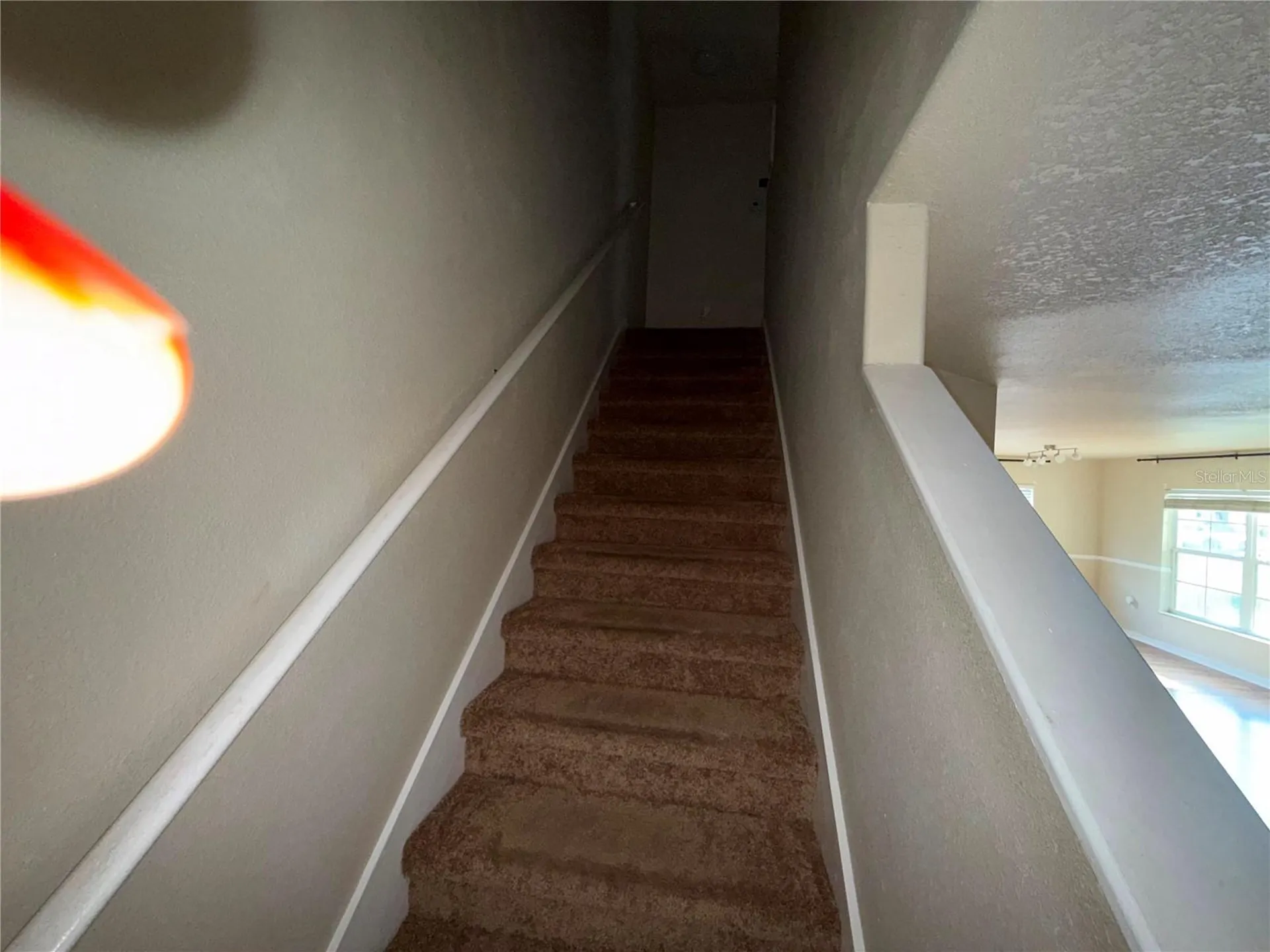 37603 Daliha Terrace Zephyrhills FL 33542