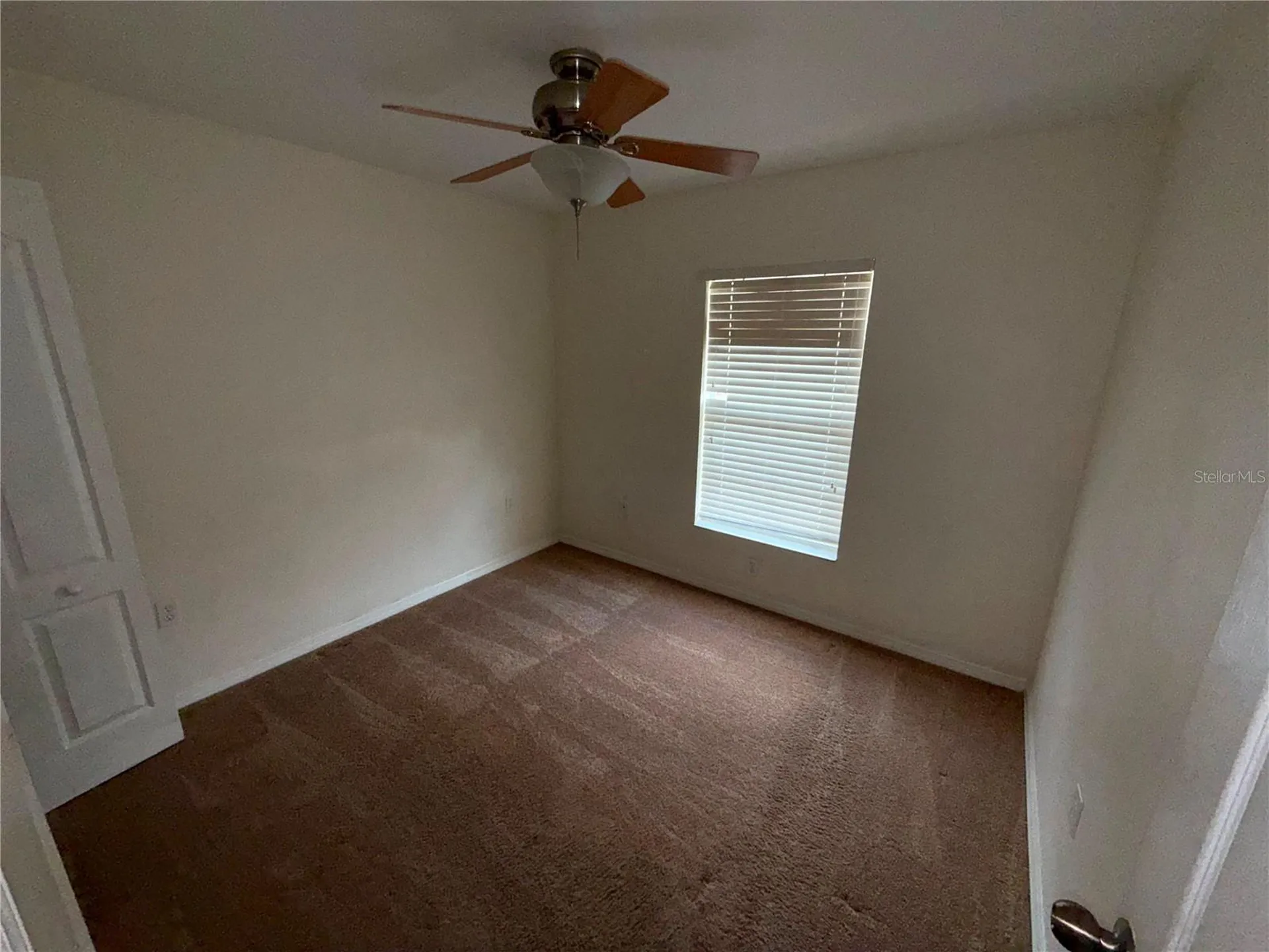 37603 Daliha Terrace Zephyrhills FL 33542