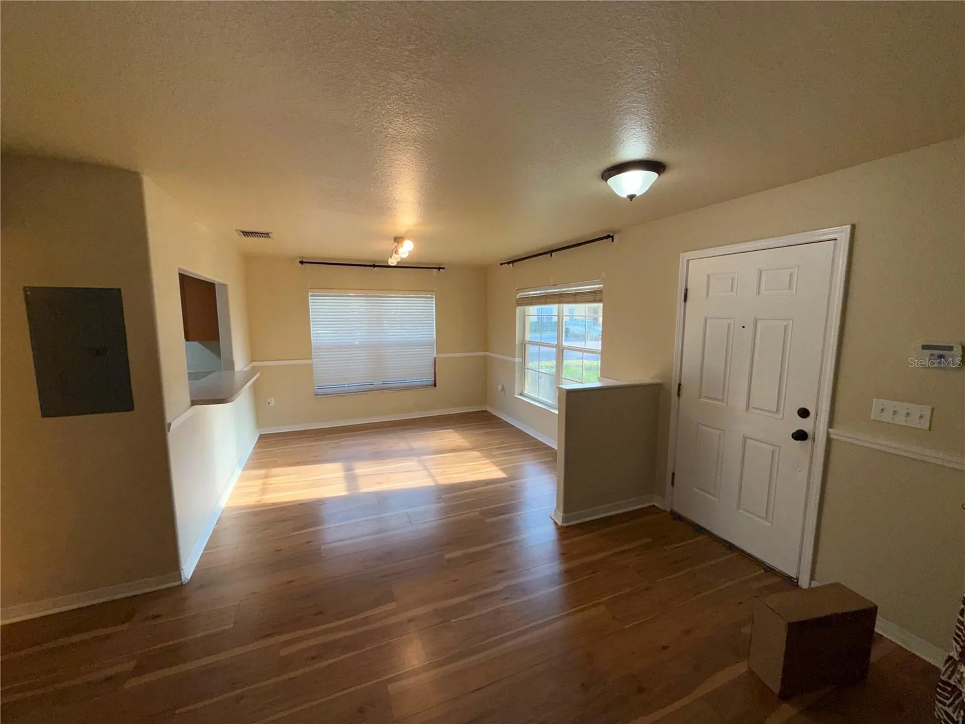 37603 Daliha Terrace Zephyrhills FL 33542