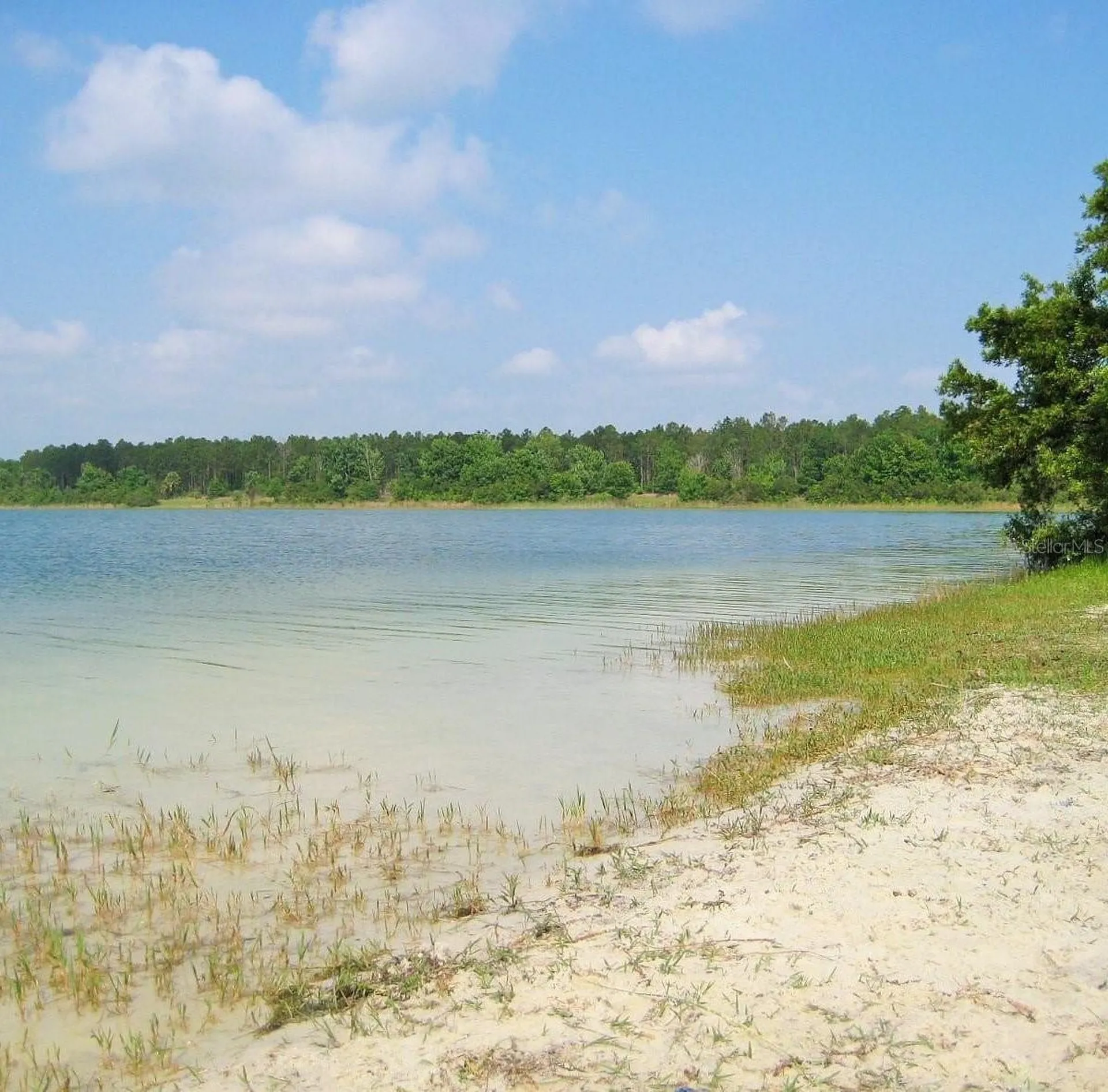 11025 SE 132nd Place Ocklawaha FL 32179