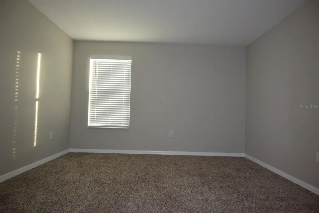 20028 Satin Leaf Avenue Tampa FL 33647