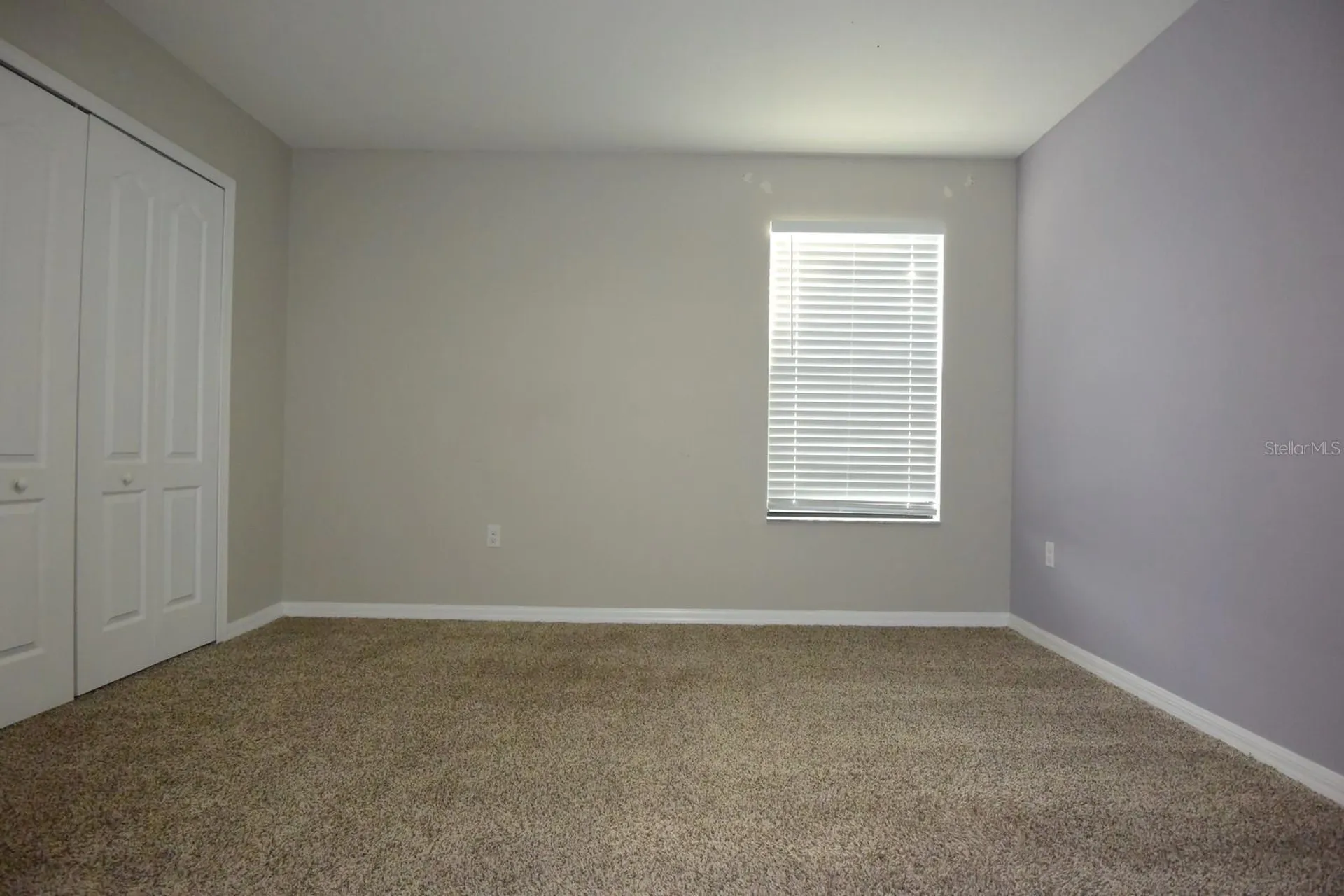 20028 Satin Leaf Avenue Tampa FL 33647