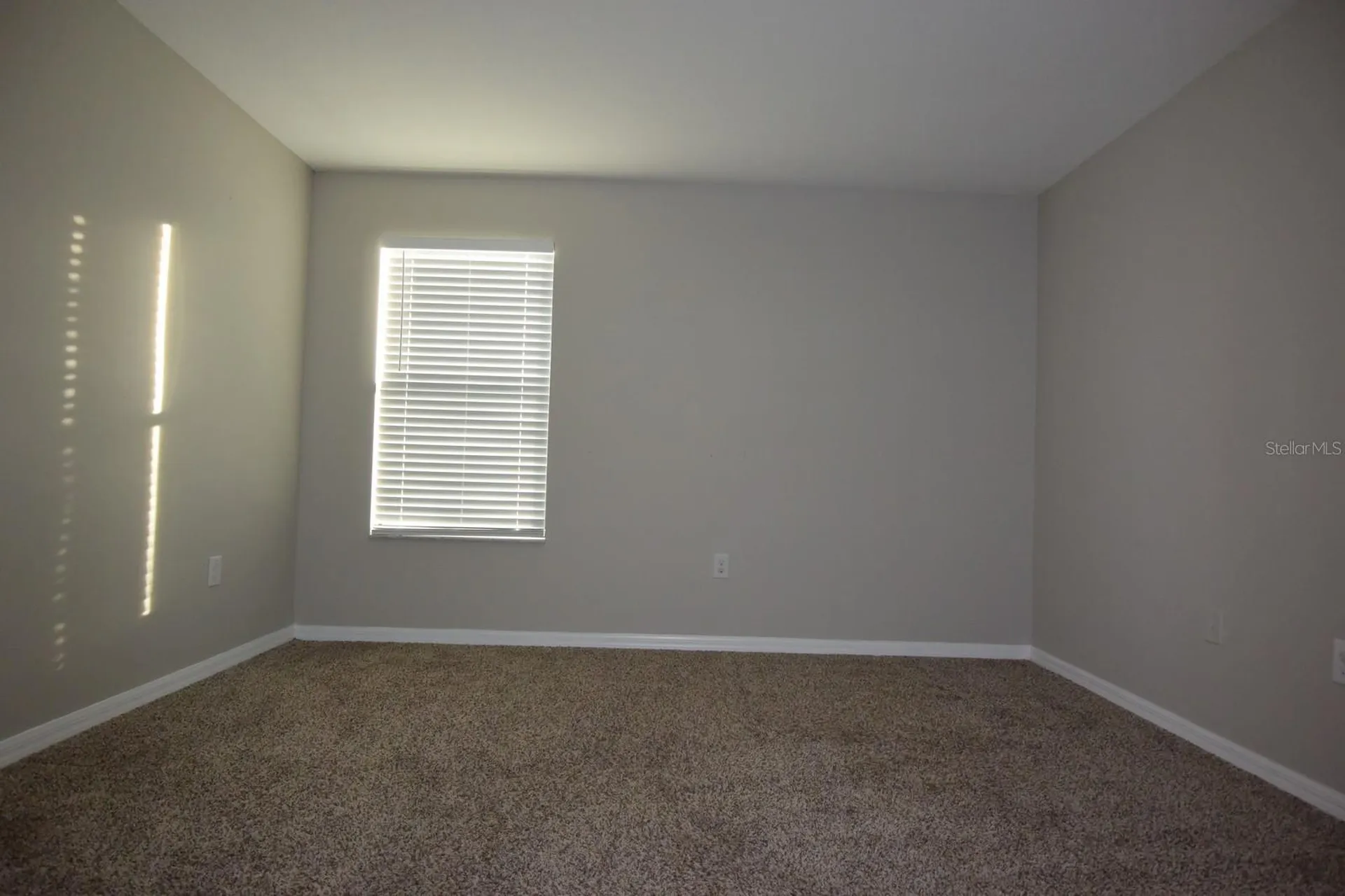20028 Satin Leaf Avenue Tampa FL 33647