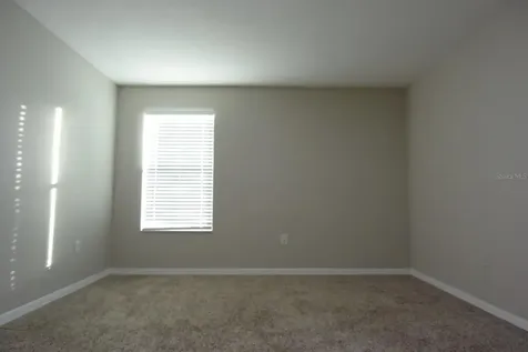 20028 Satin Leaf Avenue Tampa FL 33647