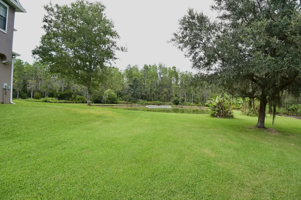 3554 Pickerell Place New Port Richey FL 34655
