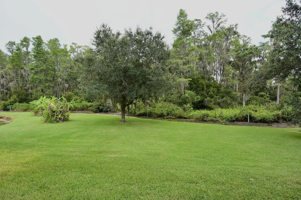3554 Pickerell Place New Port Richey FL 34655
