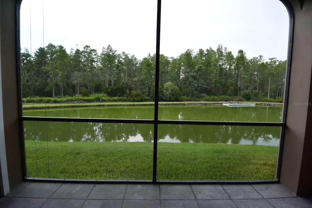 3554 Pickerell Place New Port Richey FL 34655