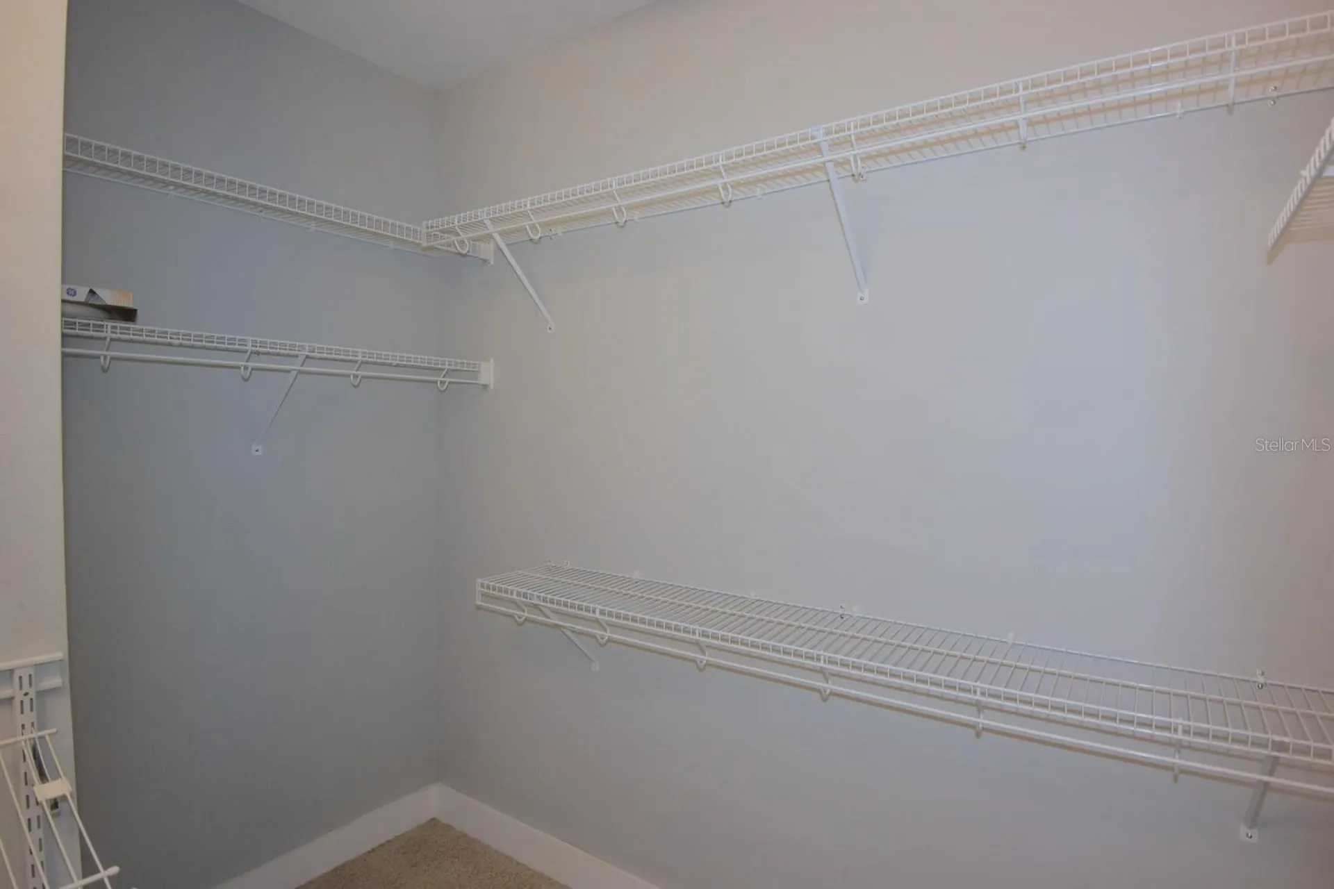 3554 Pickerell Place New Port Richey FL 34655