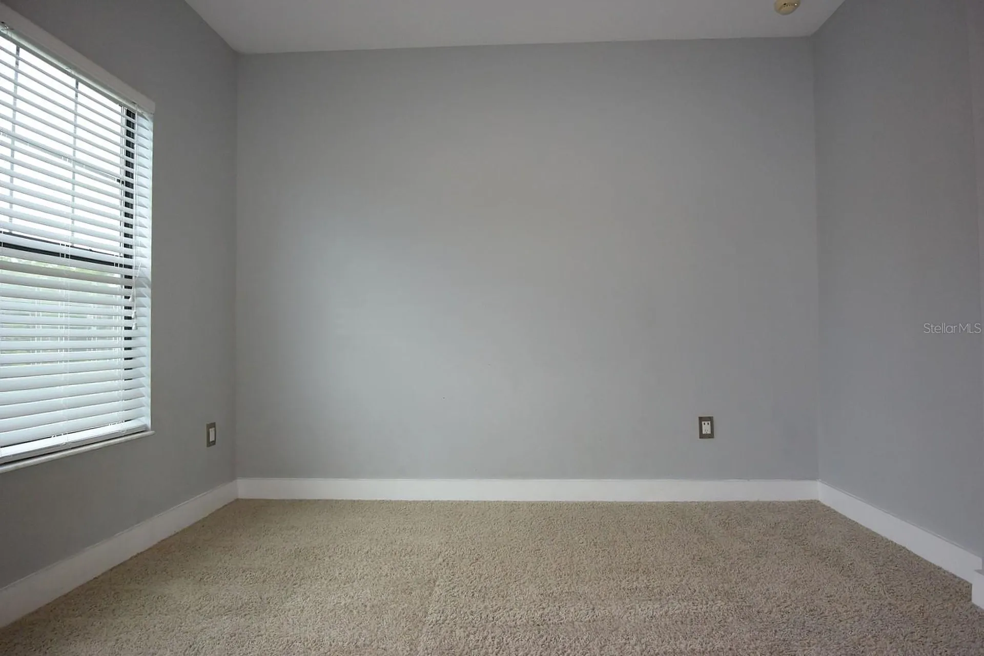 3554 Pickerell Place New Port Richey FL 34655