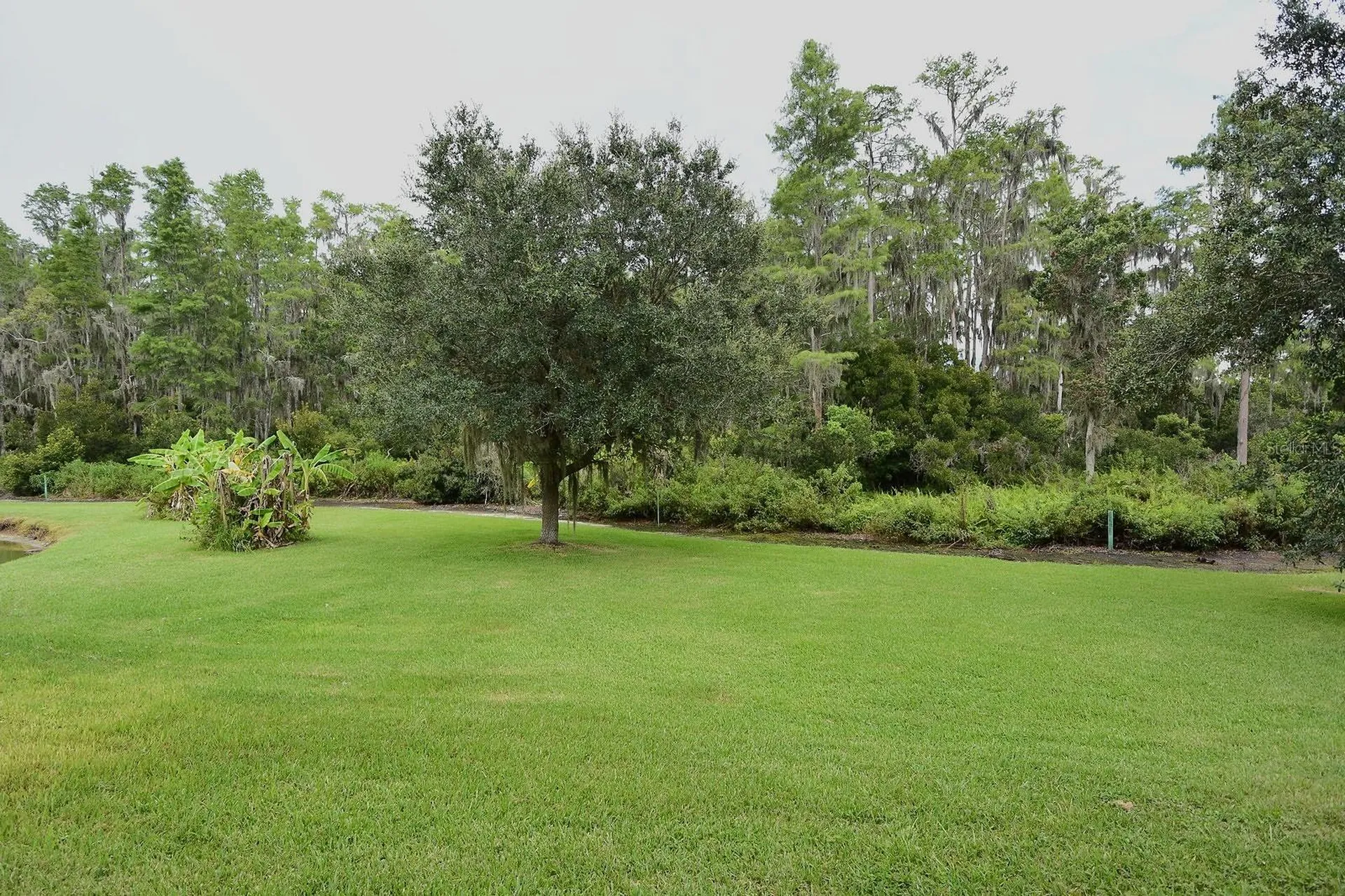 3554 Pickerell Place New Port Richey FL 34655