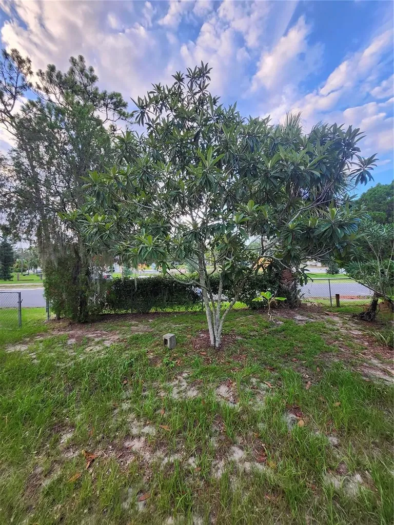 1427 SE 1st Avenue Gainesville FL 32641