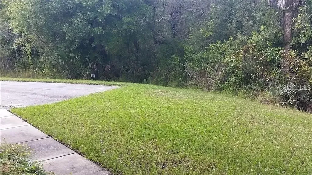 16317 Newbury Palms Court Tampa FL 33647