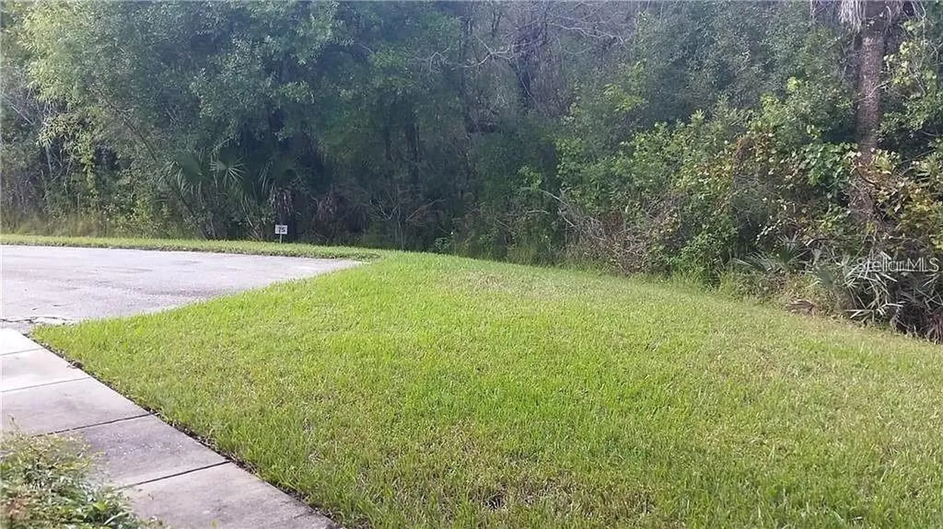 16317 Newbury Palms Court Tampa FL 33647