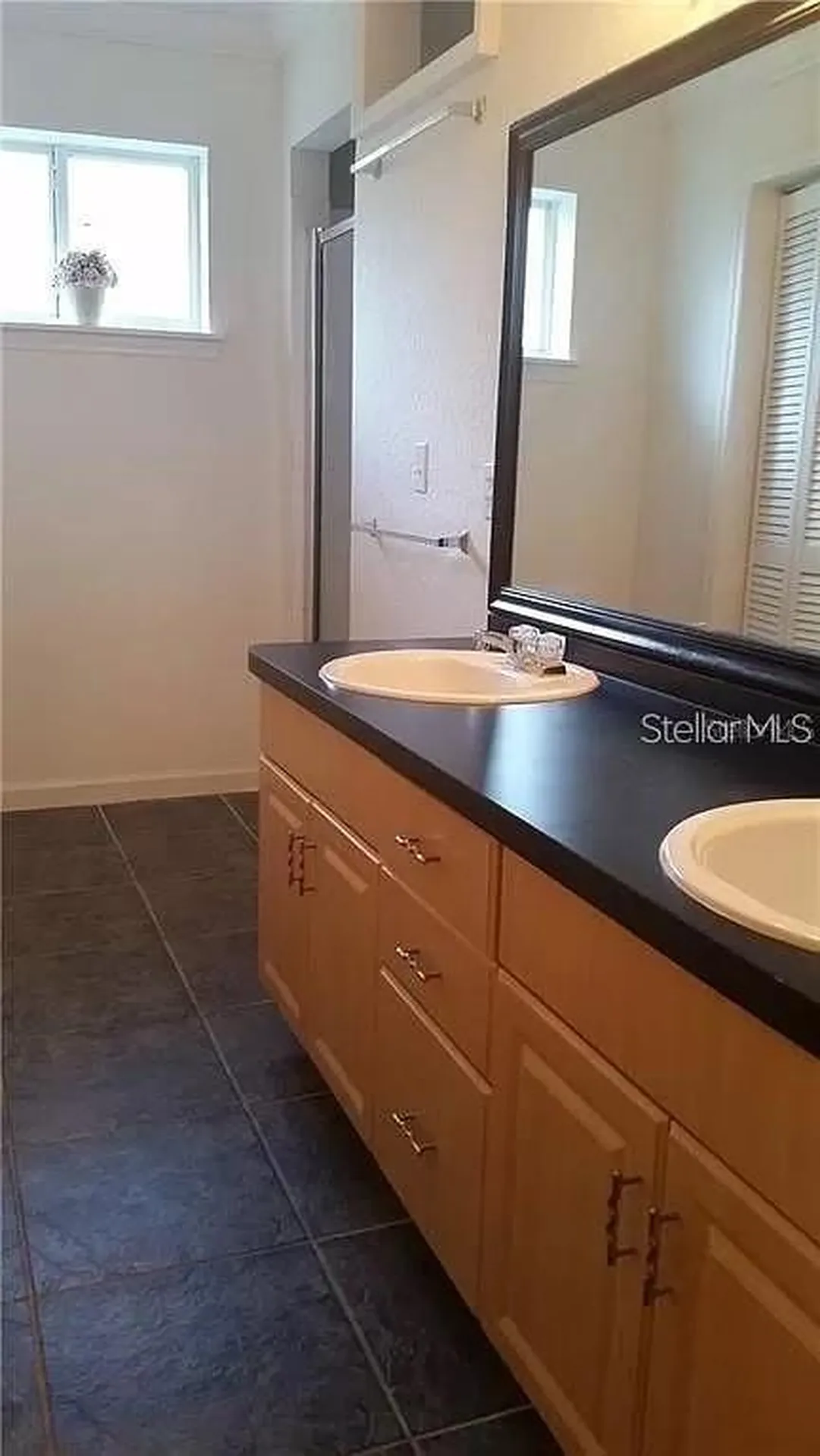 16317 Newbury Palms Court Tampa FL 33647