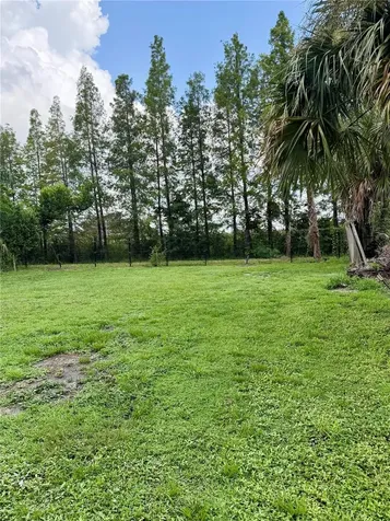 4507 W Gray Street Tampa FL 33609
