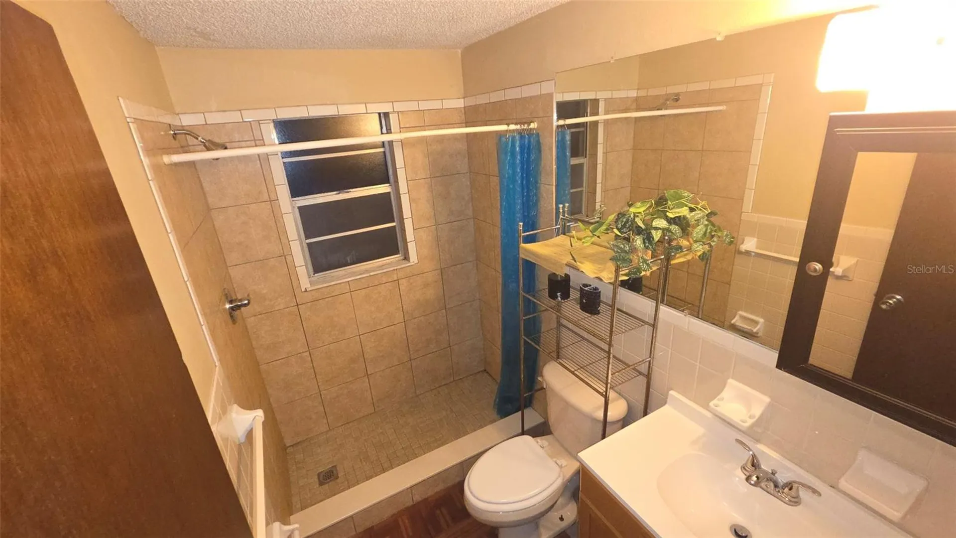 6141 10th Street Zephyrhills FL 33542