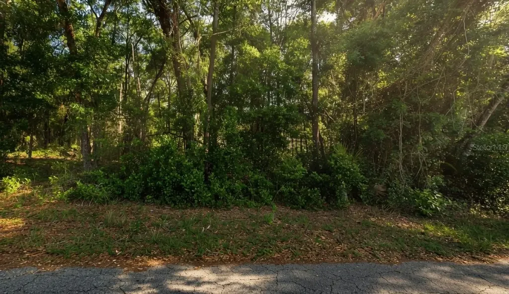6355 E Peach Street Inverness FL 34452