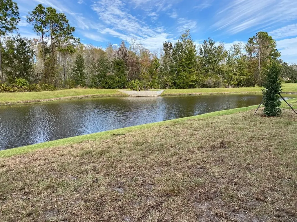 11651 Castine Street New Port Richey FL 34654