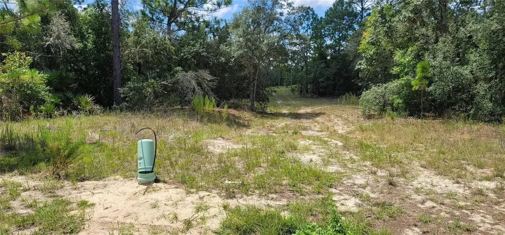 10339 N G Martinelli Boulevard Citrus Springs FL 34433
