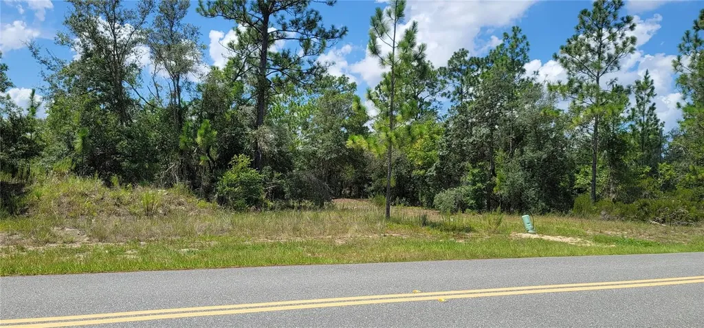 10339 N G Martinelli Boulevard Citrus Springs FL 34433