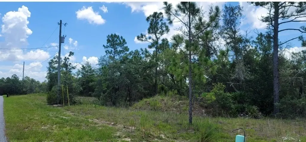 10339 N G Martinelli Boulevard Citrus Springs FL 34433