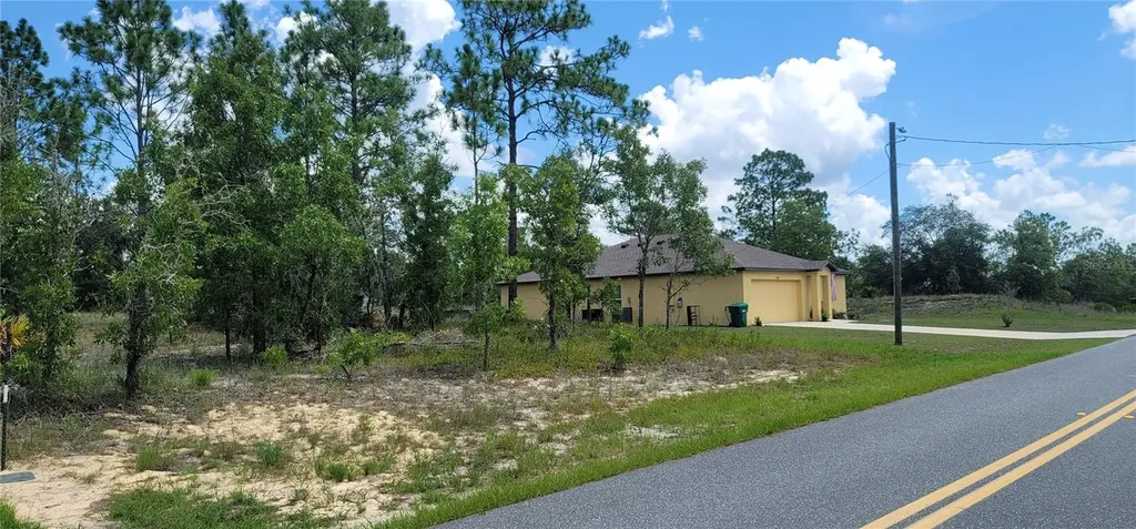 10339 N G Martinelli Boulevard Citrus Springs FL 34433