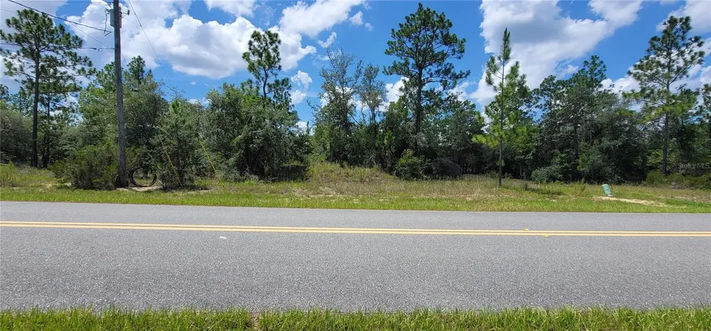 10339 N G Martinelli Boulevard Citrus Springs FL 34433
