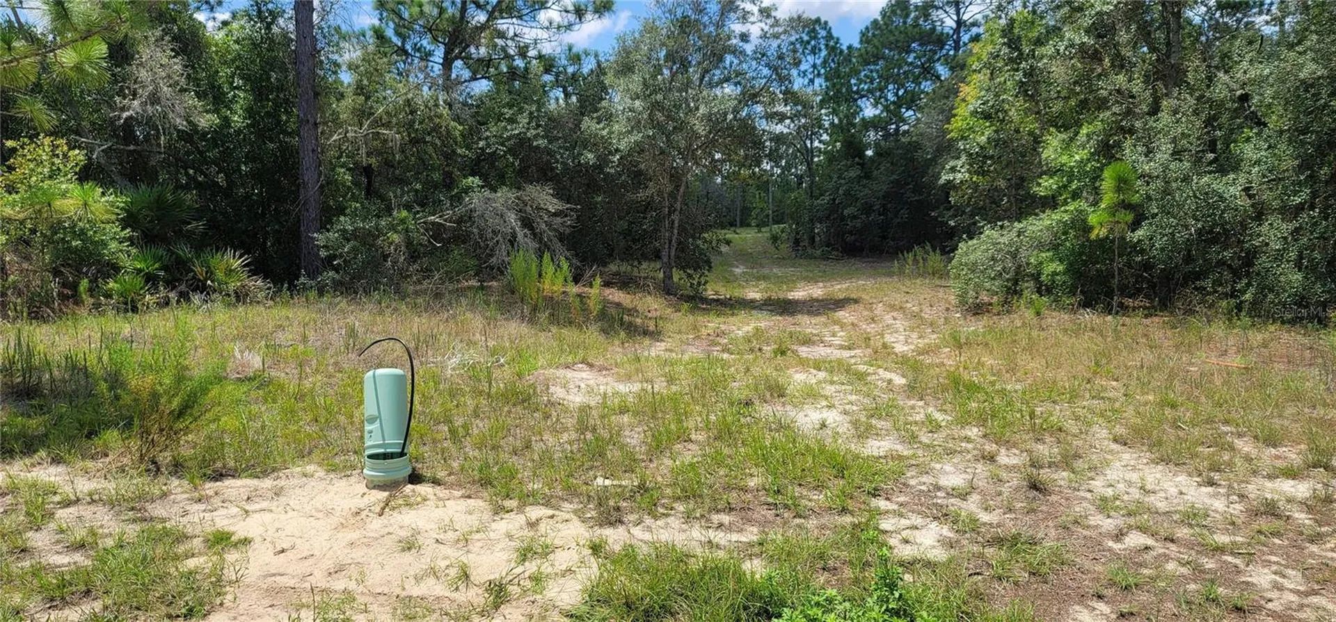 10339 N G Martinelli Boulevard Citrus Springs FL 34433