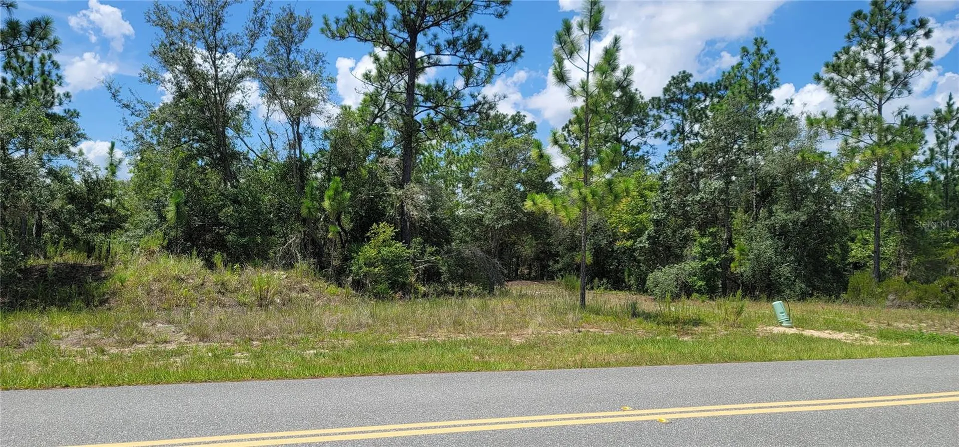 10339 N G Martinelli Boulevard Citrus Springs FL 34433