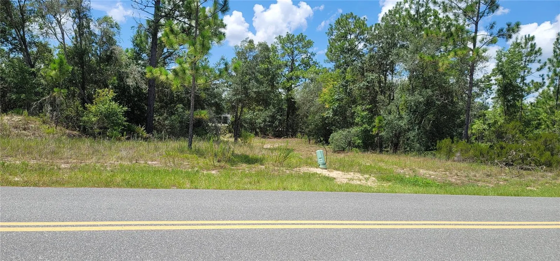 10339 N G Martinelli Boulevard Citrus Springs FL 34433