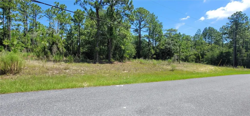 7163 N Glenridge Circle Citrus Springs FL 34434