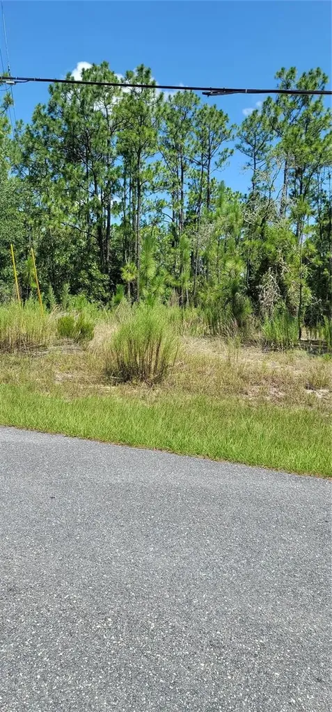 7163 N Glenridge Circle Citrus Springs FL 34434