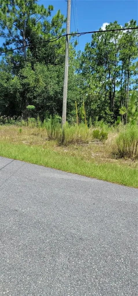 7163 N Glenridge Circle Citrus Springs FL 34434