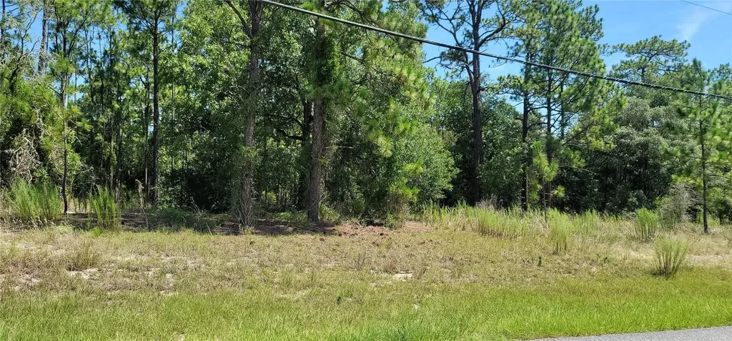 7163 N Glenridge Circle Citrus Springs FL 34434