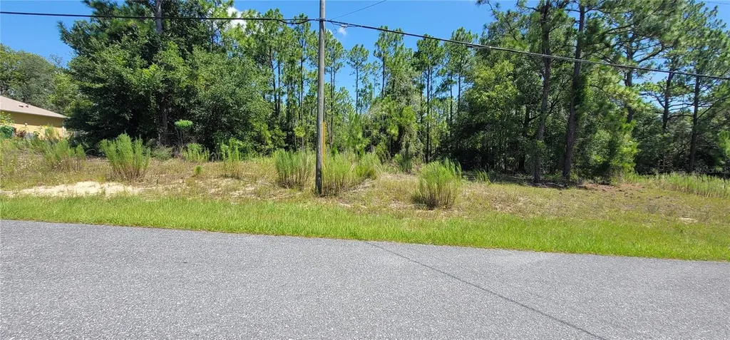 7163 N Glenridge Circle Citrus Springs FL 34434