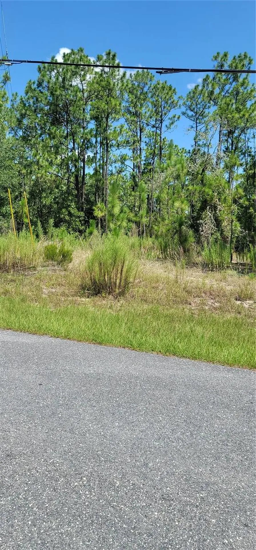 7163 N Glenridge Circle Citrus Springs FL 34434