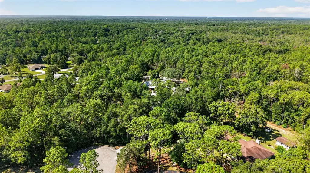 9000 SW 203rd Court Dunnellon FL 34431